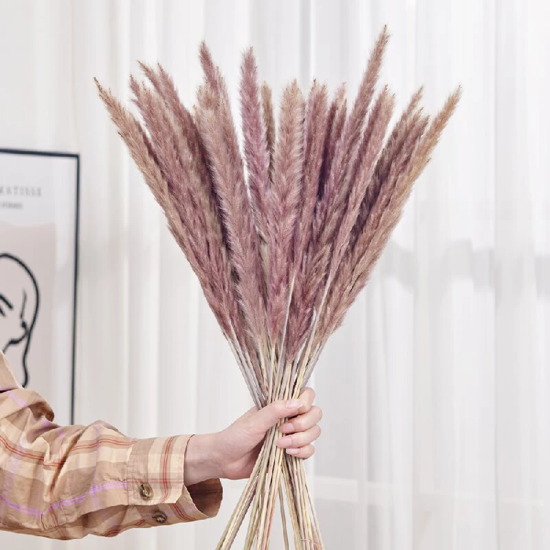 

30pcs Dried Flowers Bouqet Artificial Flowers Real Reed Pampas Grass Wedding Decoration Fleurs Sechees Christmas Home Decor
