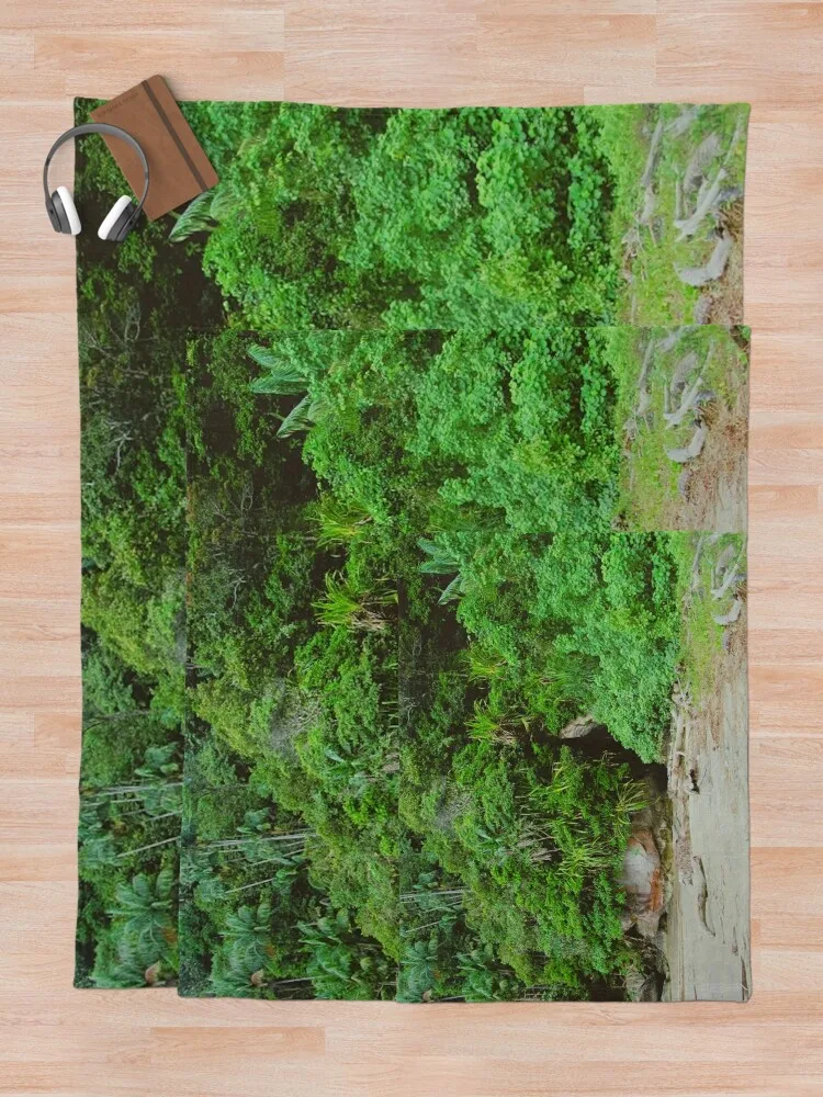 Бако Национальный парк София Малайзия Плед Одеяла Для Диванов Пляжные Волосы