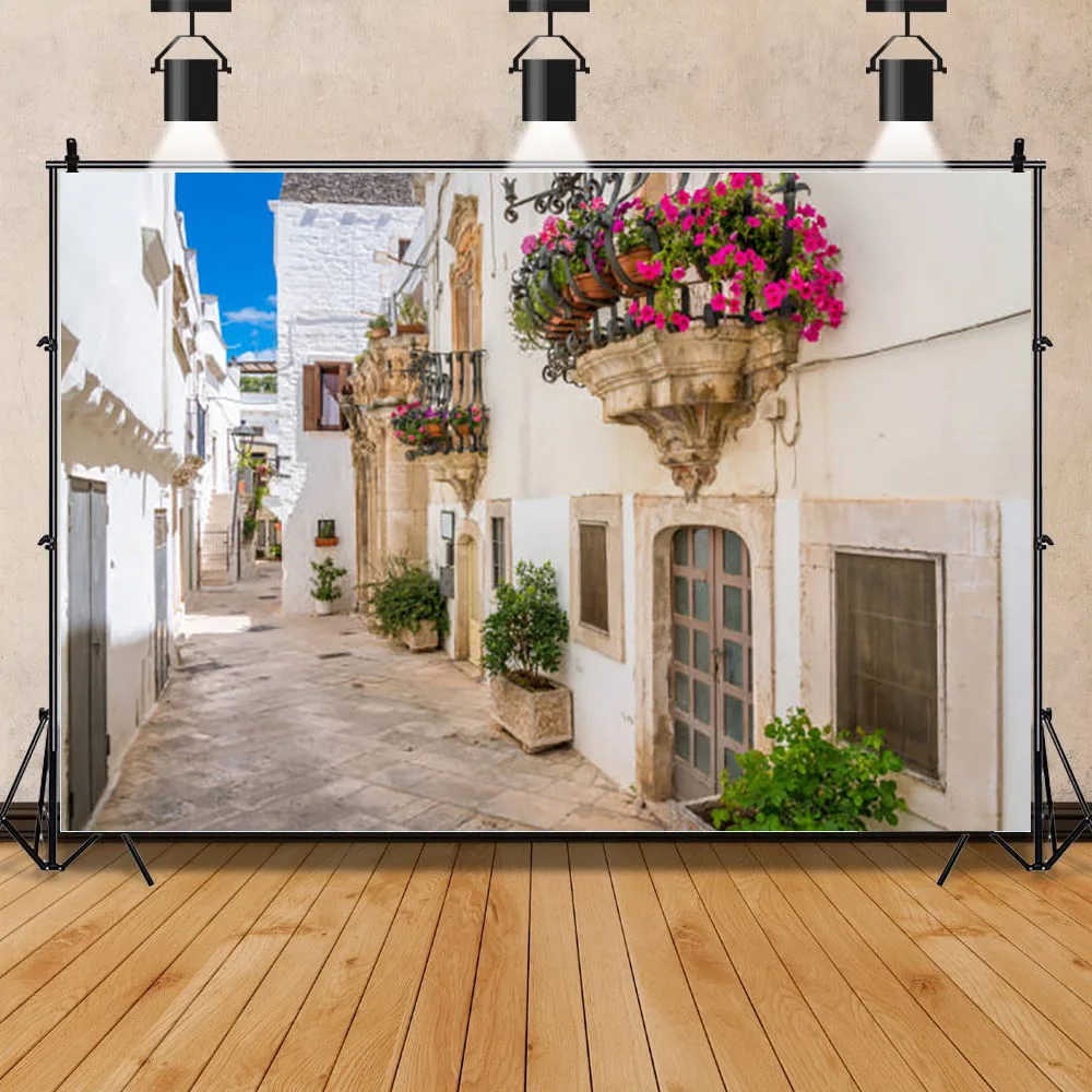 

Green Plants and Traditional Houses With Spring Flowers on the Streets of the Small Town Photography Background Prop XZ-07