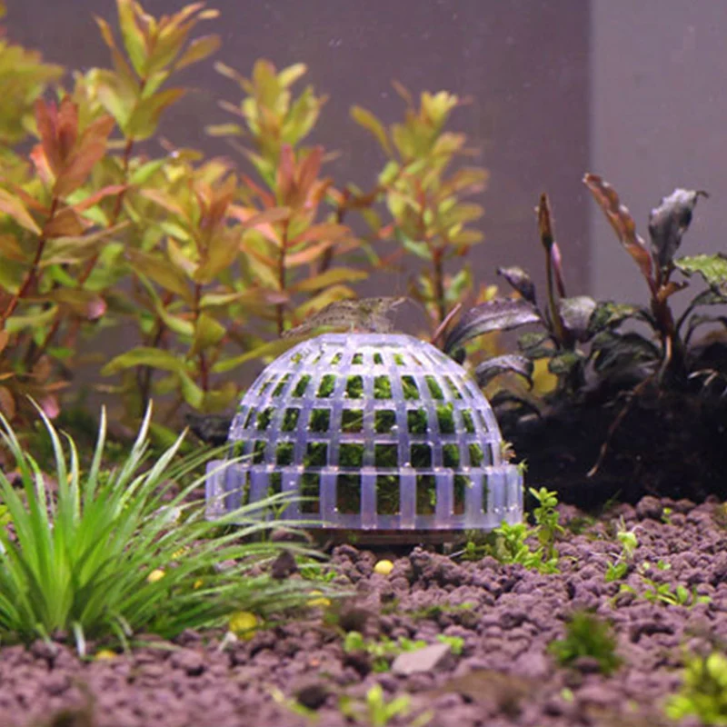 

Aquarium Fish Tank Media Moss Ball Live Plant Filter Filtration Decor Home Decoration Nature Sea Plant