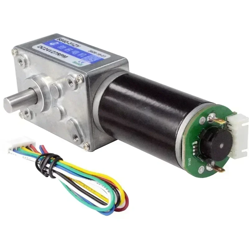 High Torque 12v DC Motor 24V Electric Worm gear motor With Encoder