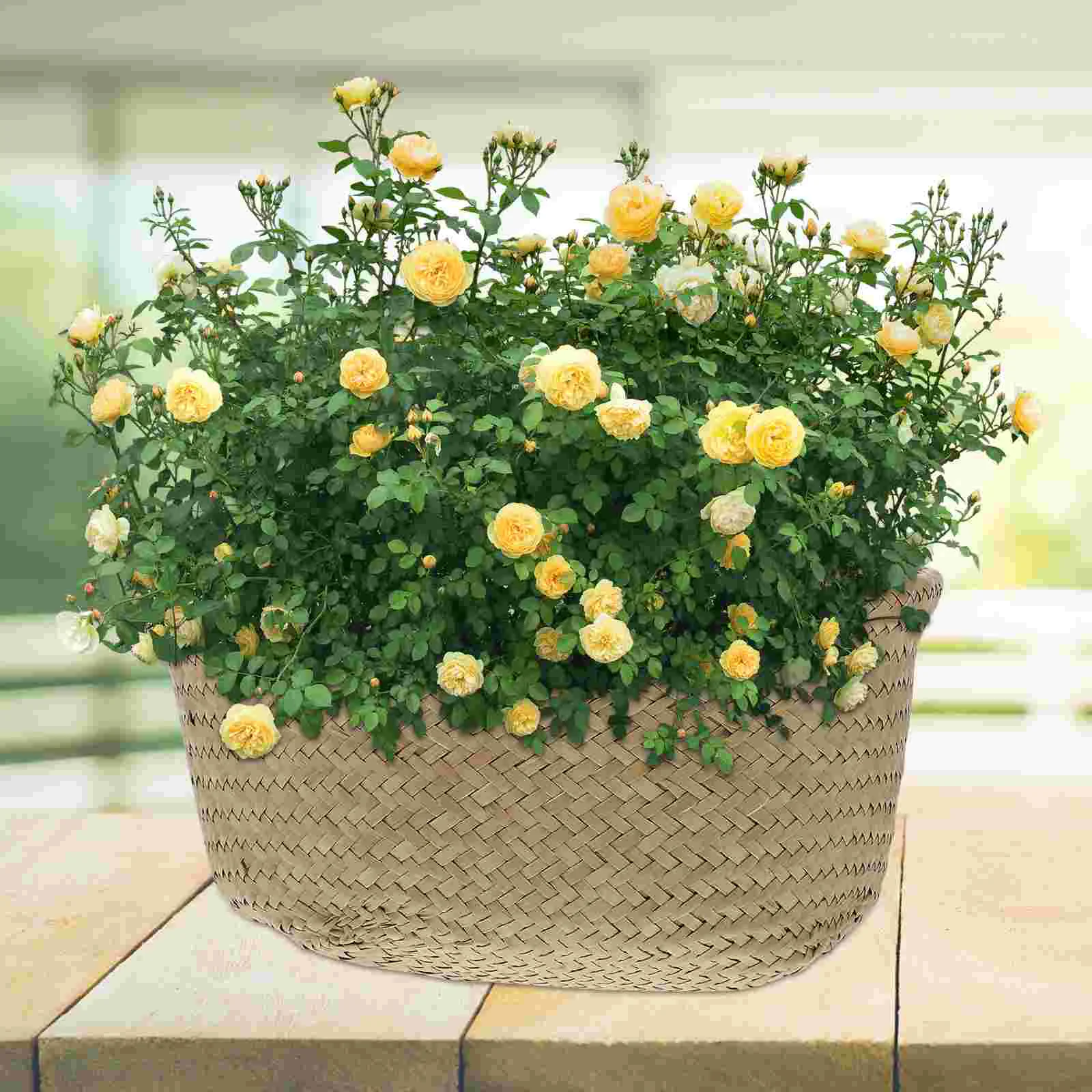 

Flower Basket Storage Baskets Planter Basket for Indoor Home Office Decoration
