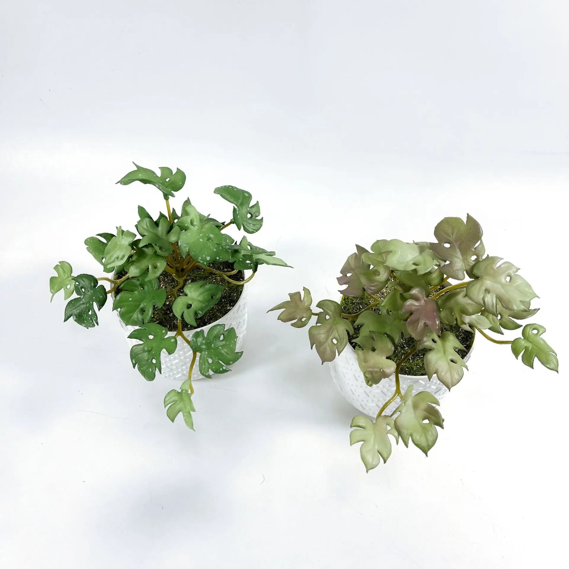 Искусственные растения для украшения аксессуары поддельные подвесные цветы