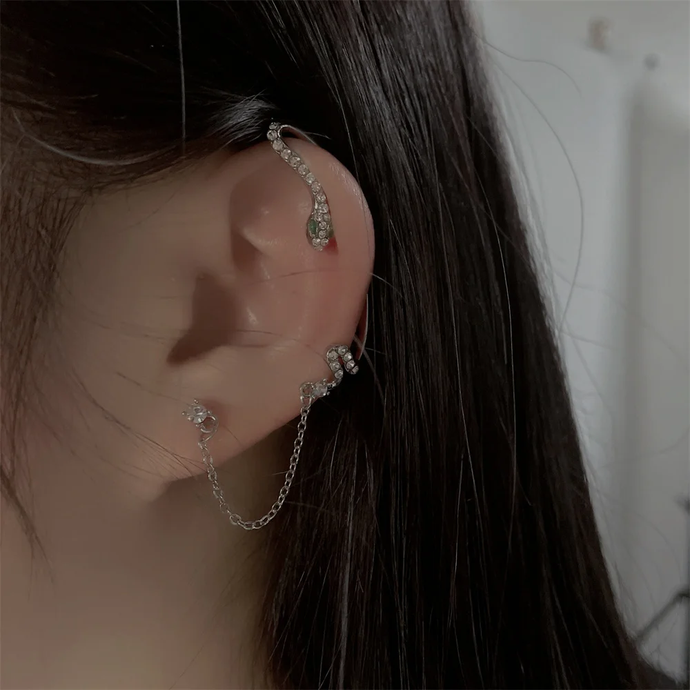 

Coconal Fashion Silver Color Women Snake Tassel Earrings Jewelry for Gothic Party Jewelry Gifts Earrings