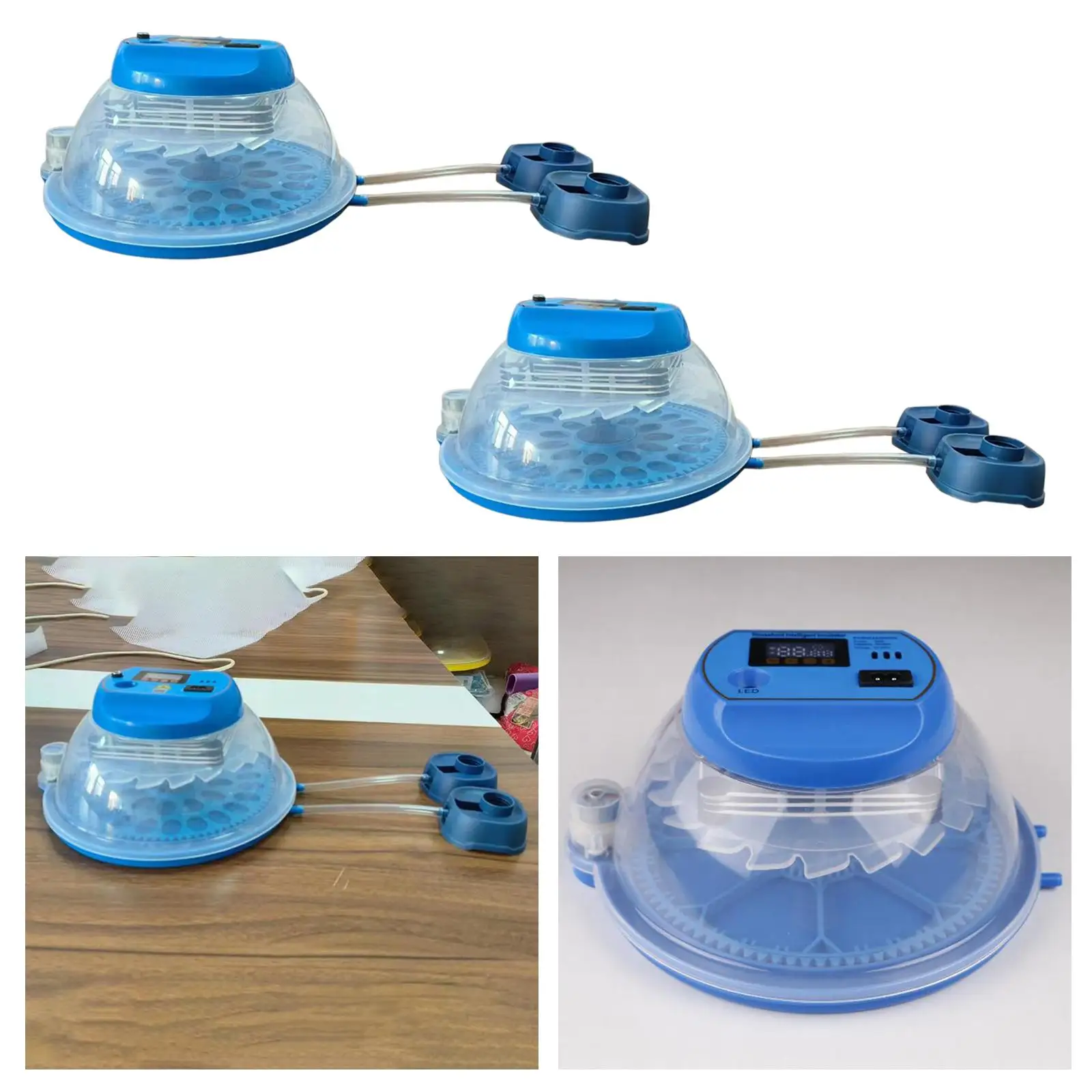 Инкубация яиц для инкубационных съемное шасси устройство инкубации гусиных