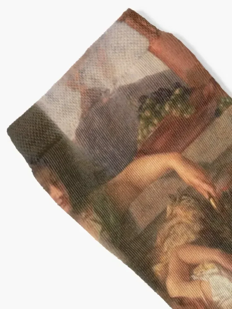 Pompeii AD 79 от Альфреда Элмора Носки Спортивные мужские носки для регби каваи