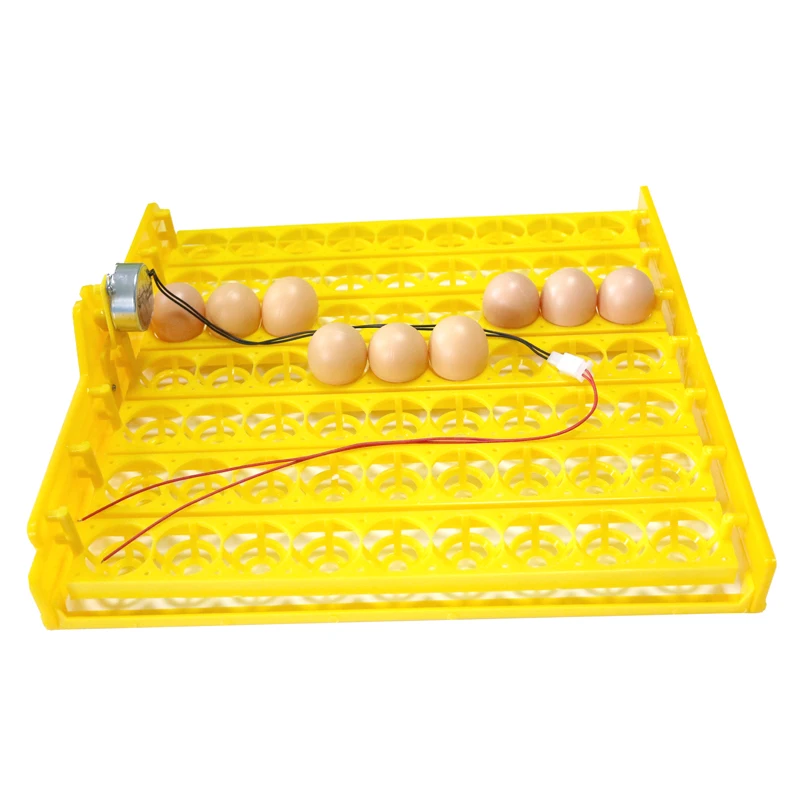

63 Eggs Automatic Incubator Egg Tray Egg Incubator 110v / 220v Motors New Incubation Equipment Chicken Bird Equipment