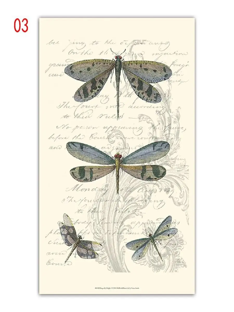 Европейские винтажные энтомологические постеры высококачественные бабочки