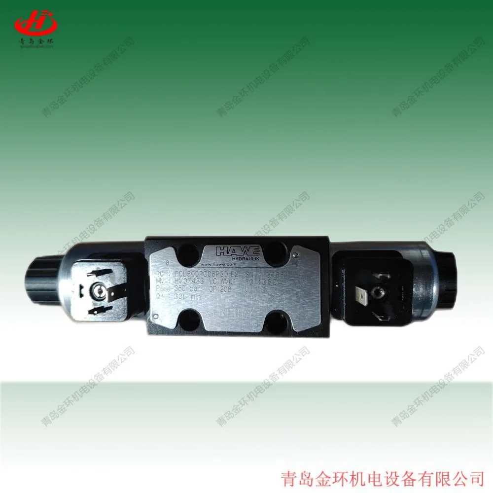 Hawe hoerbiger POL500PC06P06 POL500PC06P09 POL500PC06P12 POL500PC06P18 POL500PC06P24 POL500PC06P30