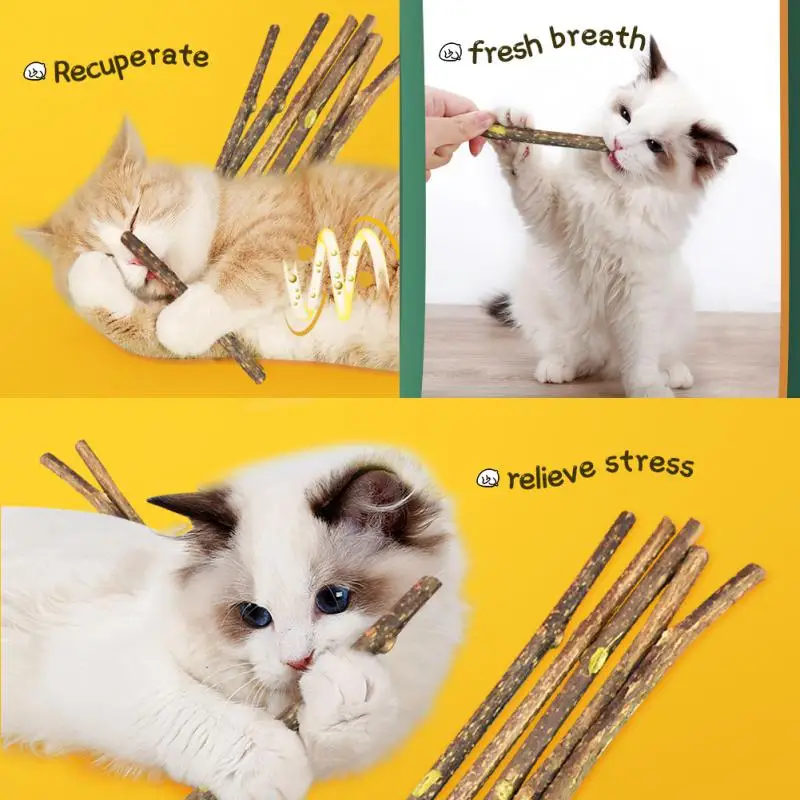 

Cat Catnip Sticks Pet Teeth Cleaning Chew Stick Toys Natural Silvervine Catnip Treating Cat Mint Caught Bite Excited Molar Rods