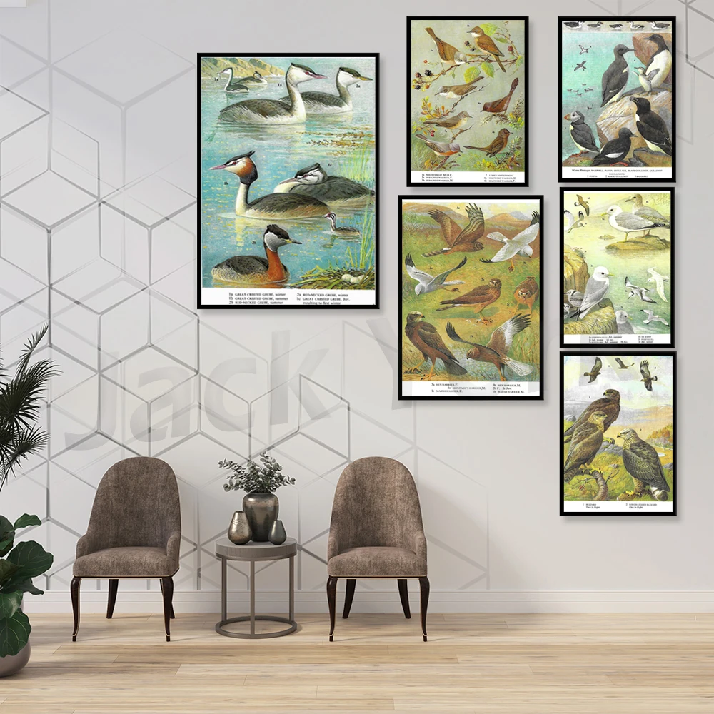 Хориер куриный болотный хориер птица добыча птицы в полете винтажный принт