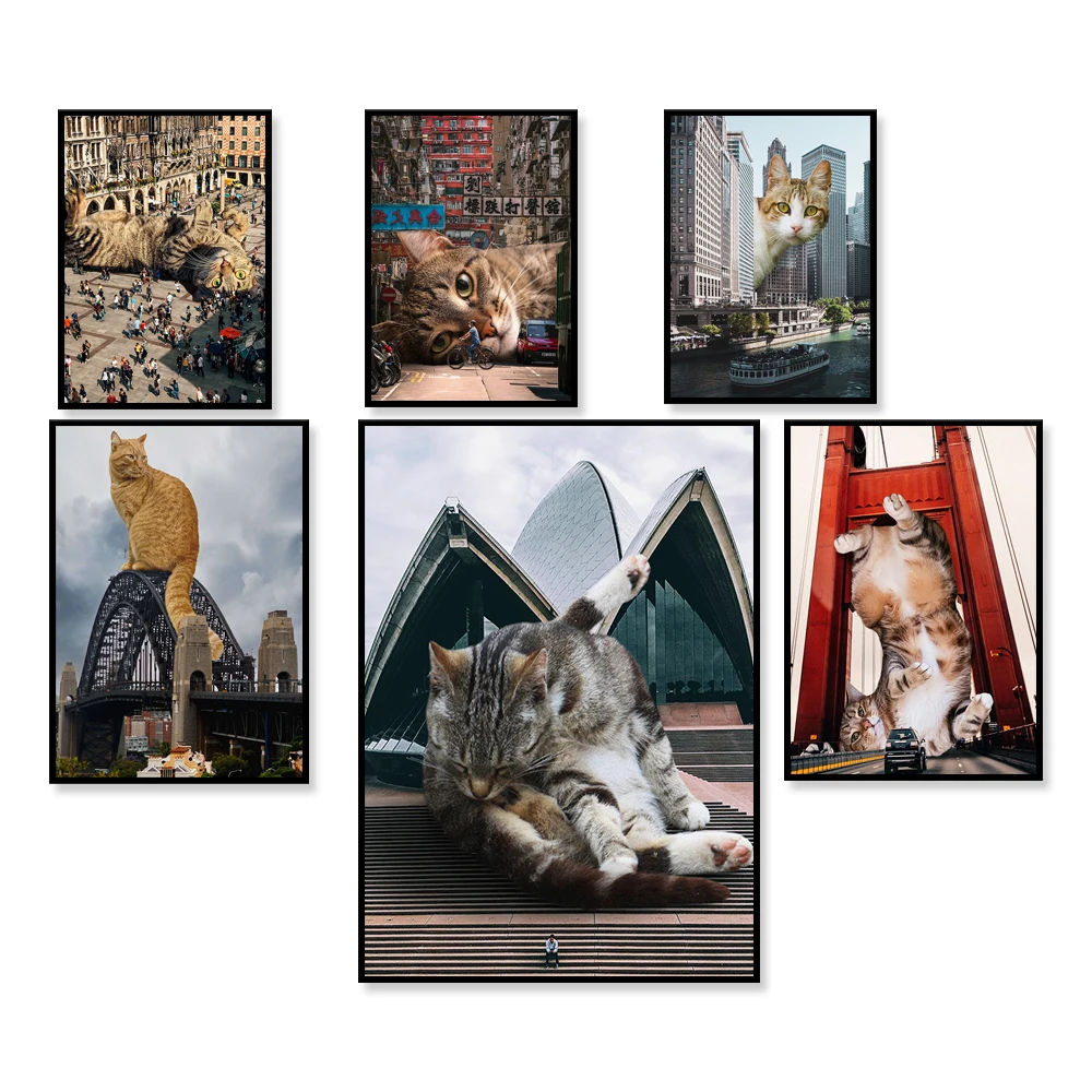 Имбирная кошка апельсиновая таблетка Гонконг Вашингтон байерман Германия