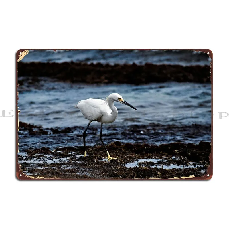 

Металлическая надпись Snow Egret на пляже, ржавый герой, гостиная, гараж, домашний жестяной плакат