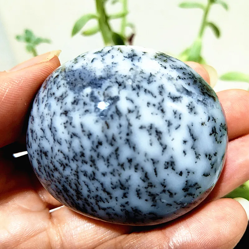 

Натуральный дендритный опал EBET