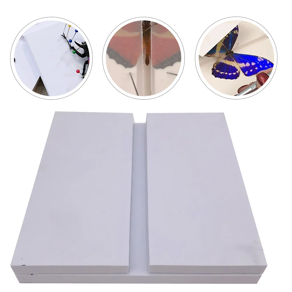 

1pc Insect Spreading Board Experiment Tool Butterflies Box Frame