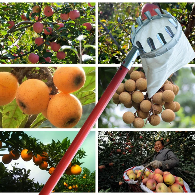 

Peach Gardening Tools High Catcher Picking Gardening Fruit Collector Orchard Apple Tools Picker Metal Tree Fruit