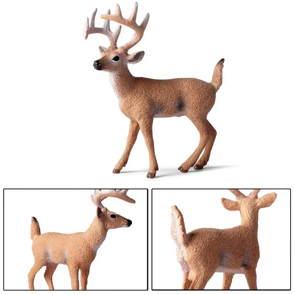 

Модель диких животных, реалистичные фигурки животных из искусственного леса, олень, лиса, белка, бурый медведь, статические Фигурки для детей