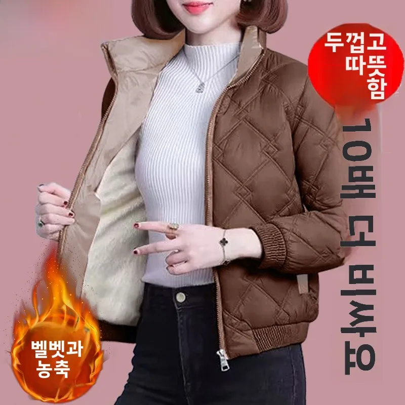 Пуховик Дятел Одежда на хлопковой подкладке Женская зима 2024 новое хлопковое