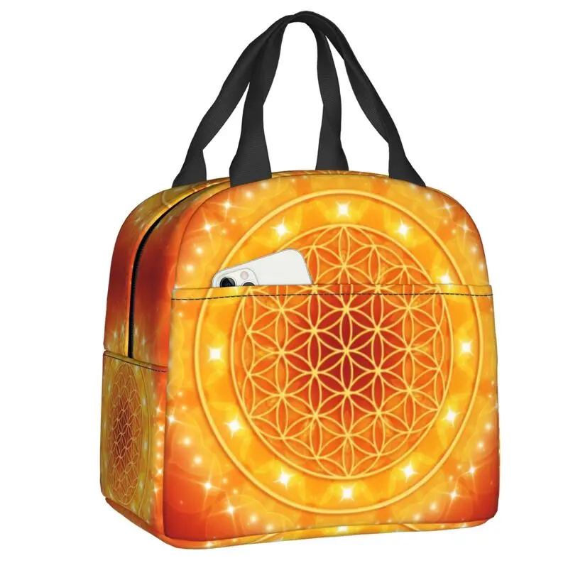 Thermal Lunch Tote Beach Camping Travel