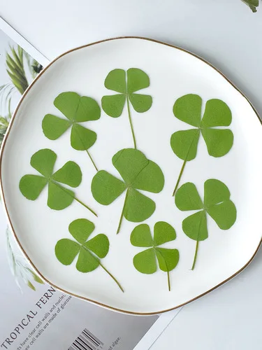 

Прессованные лепестки клевера NYAConfetti