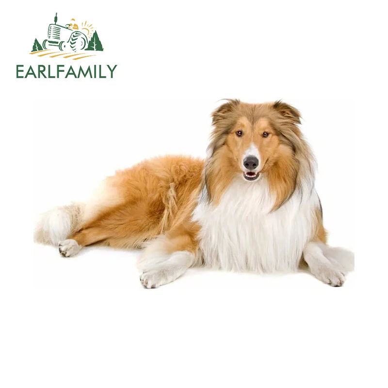 

EARLFAMILY 13 см x 10,5 см для собаки грубые колли автомобильные наклейки и наклейки виниловые индивидуальные устойчивые к царапинам наклейки 3D окно автомобильная пленка