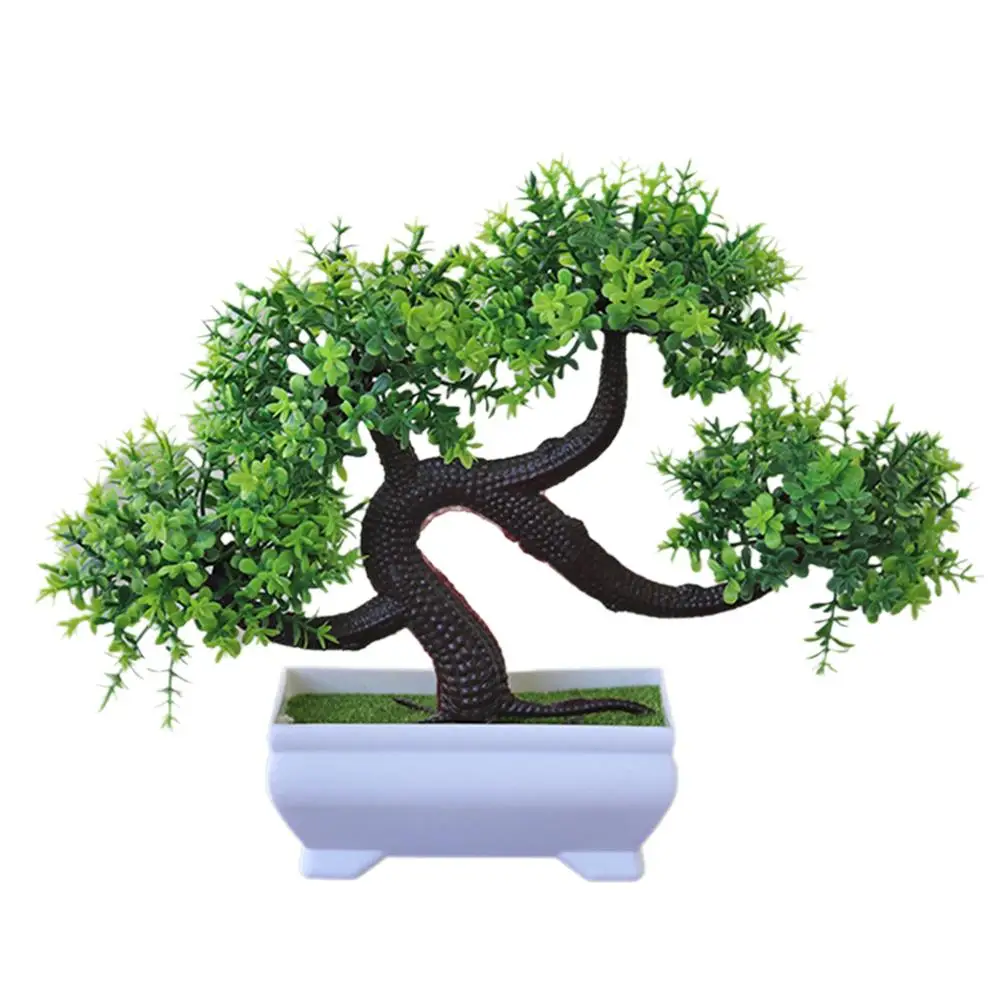 Семейный дракон бороды дерево бонсай приветственное украшение из сосны