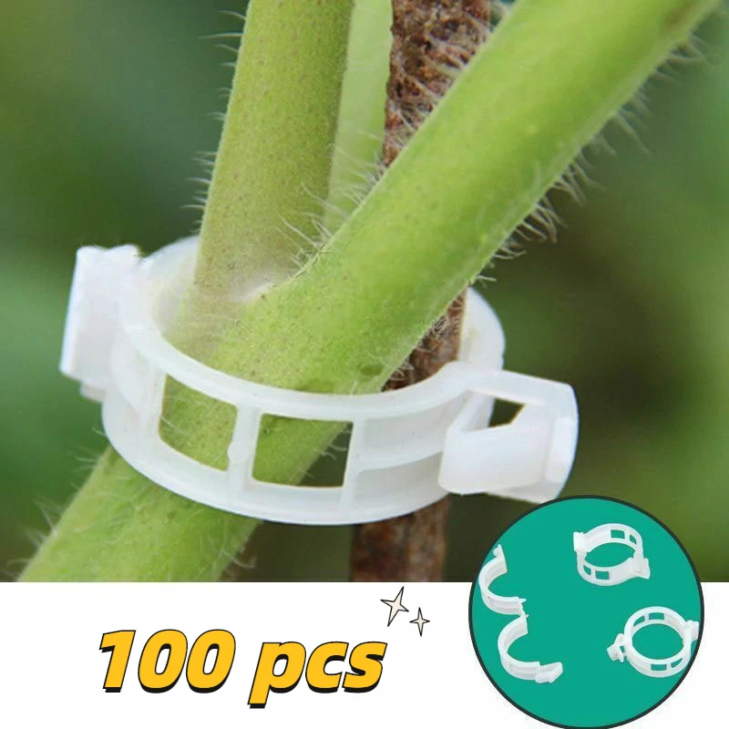 

Plant Support Clips for Tomato Vegetable Vines Upright and Make Plants Twine Clips Plant Climbing Wall Clip Garden Tools
