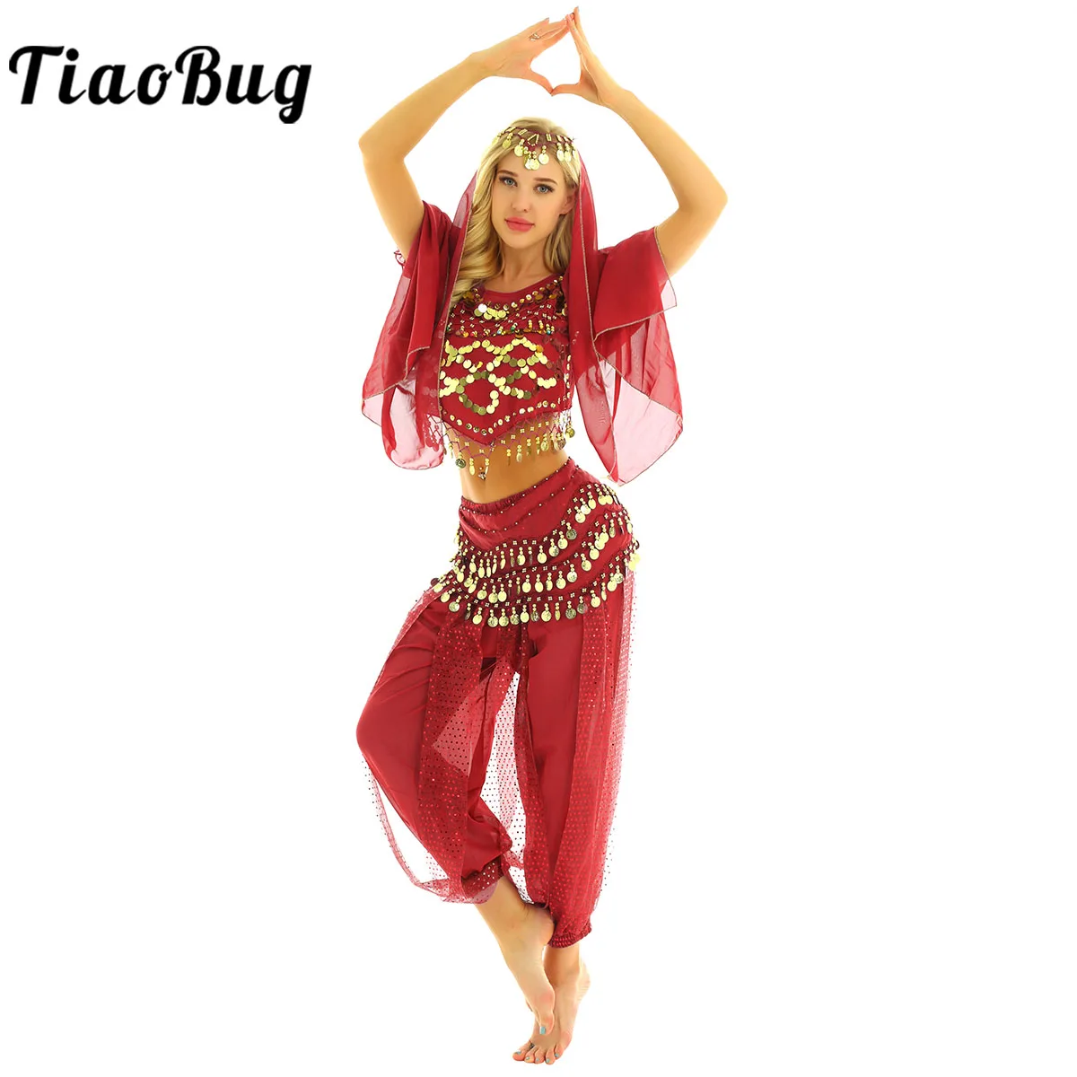 

Women Belly Dance Costume Outfit Set India Dancing Coins Short Sleeves Top with Harem Pants Scarfs for Carnival Performance