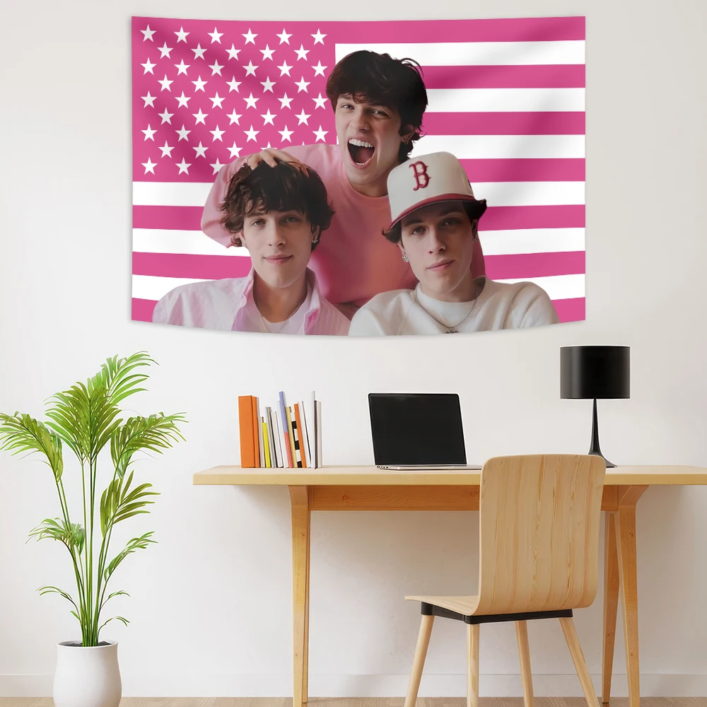 

Розовый гобелен с американскими флагами Sturniolo Triplets