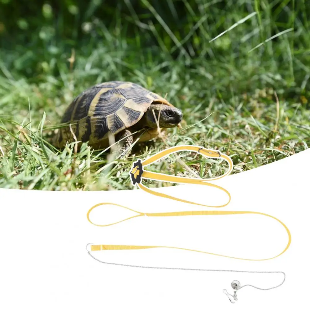 

Прочный двухразмерный поводок для рептилий яркий цвет яркий декоративный поводок для домашних животных