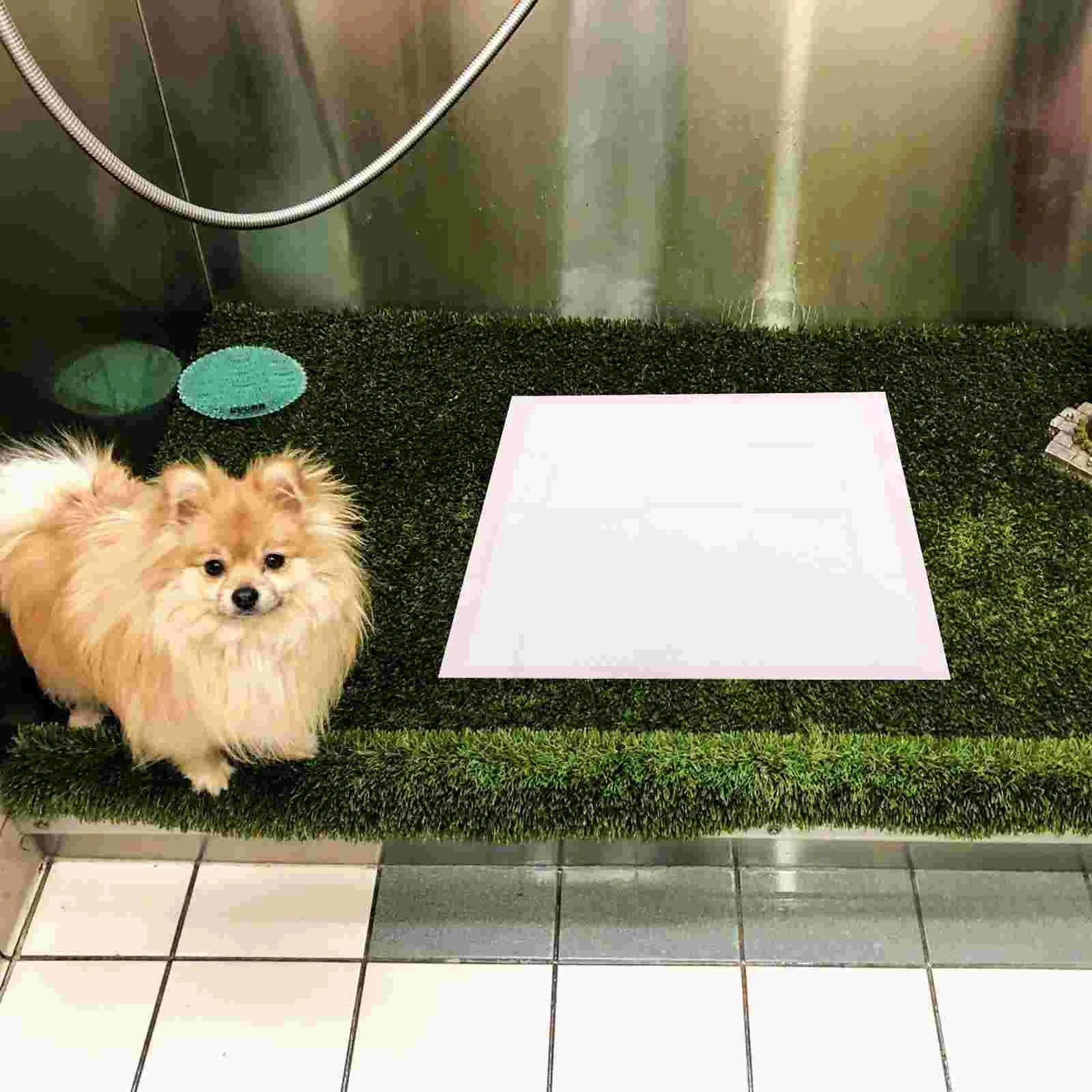 

40pcs Puppy Pee Absorbent Pads Kitten Pee Pads Dog Pee Training Pads Household Pee Pad Pet Training Pee Pads