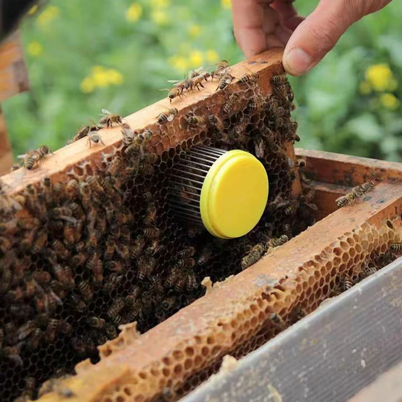 

2 шт., клетка для пчелиных ячеек