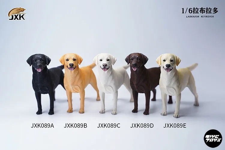 

1/6 TYCTOYS JXK JXK089 Resin Labrador Simulation Animal Model in stock