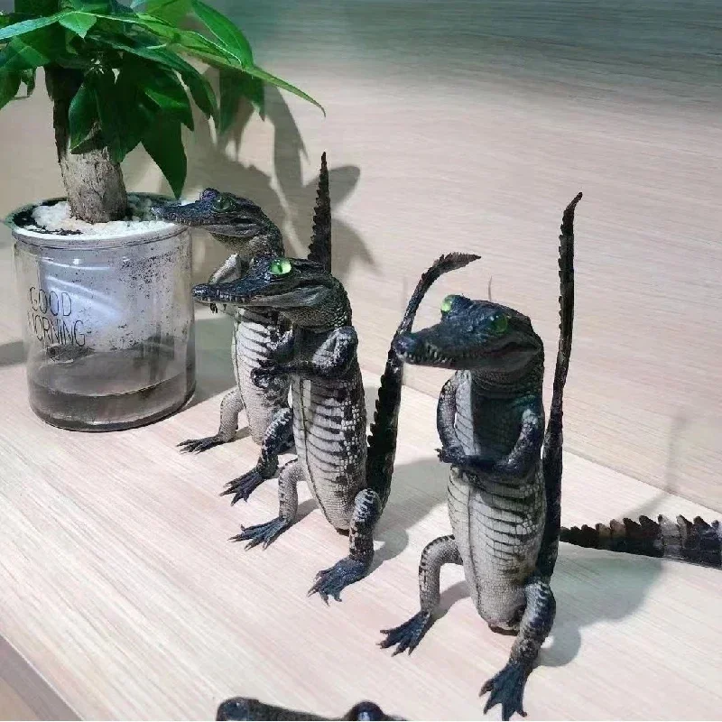 2199 оригинальный образец крокодила для ползания индивидуальный Готический