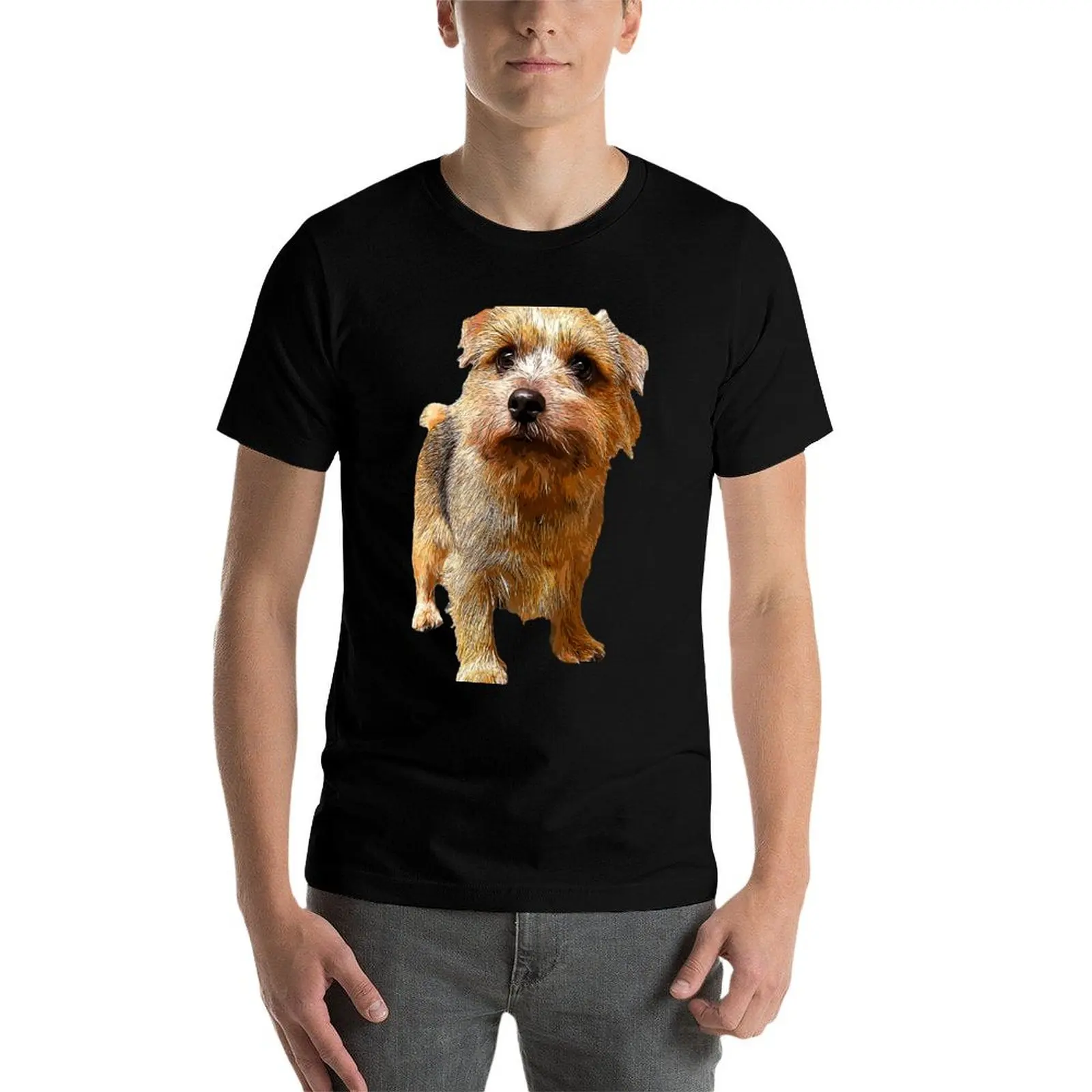 Фото Футболка Norfolk Terrier, рубашка на заказ, футболки с рисунком, летняя одежда, мужские футболки с рисунком, большие и высокие №3