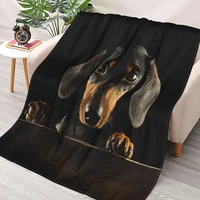 dachshund dog photo portrait blanket fleece autumnwinter pets animal multi function lightweight thin throw blanket for bed car