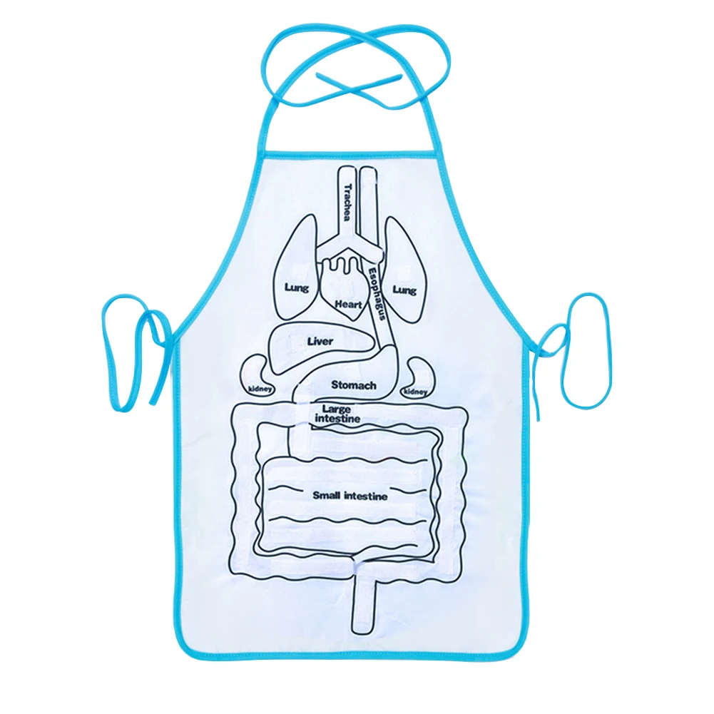 

Preschool Human Body Children Montessori Toy Fun Anatomy Awareness Educational Tool 3D Organ Apron DIY Home Removable Plush
