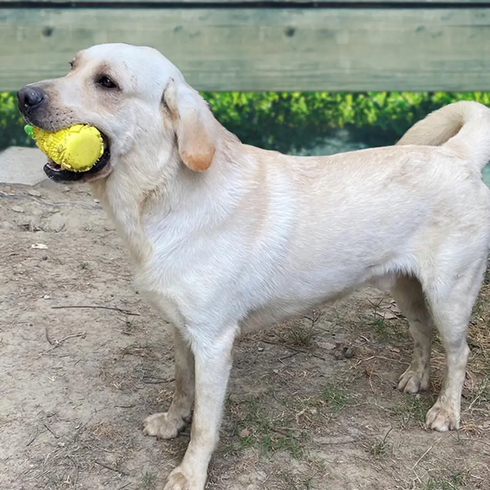 Игрушка для собаки с контролем Тартара ананас жевательная игрушка жевательной