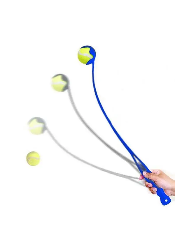 

Игрушка для дрессировки домашних животных, кия и собака, мяч для выбрасывания, пусковое устройство для собаки, забавная игрушка для дрессировки на открытом воздухе, мяч для моляра