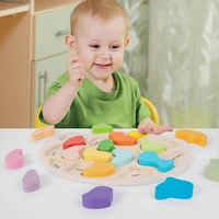 montessori wooden colour palettes puzzles toys kids color shape education learning board games for children boys girls gifts toy