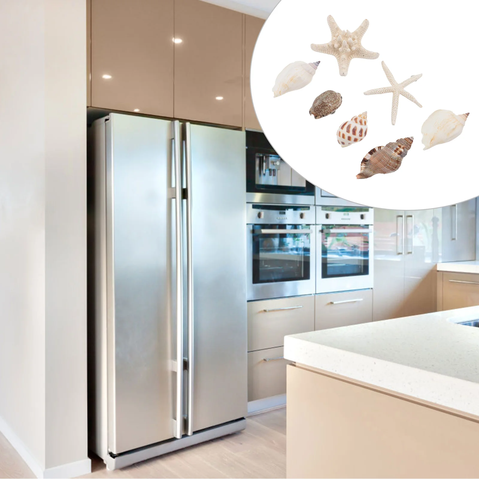 

7 PCS Office Cabinet Seashell Stickers Craft Adults Magnet Decal Fridge Magnets Conch