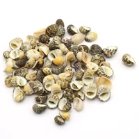 fine natural sea snail shell beads loose spacer bead for jewelry making diy women necklace bracelet accessories