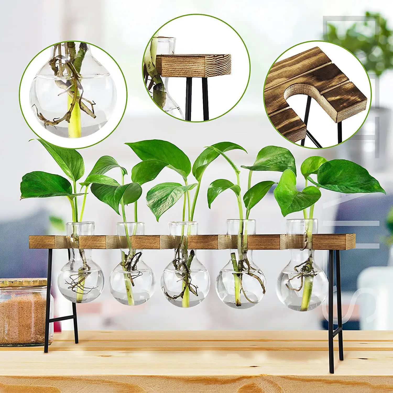 

Настольные стеллажи для разведения растений, стеклянная ваза с деревянной подставкой для террариума