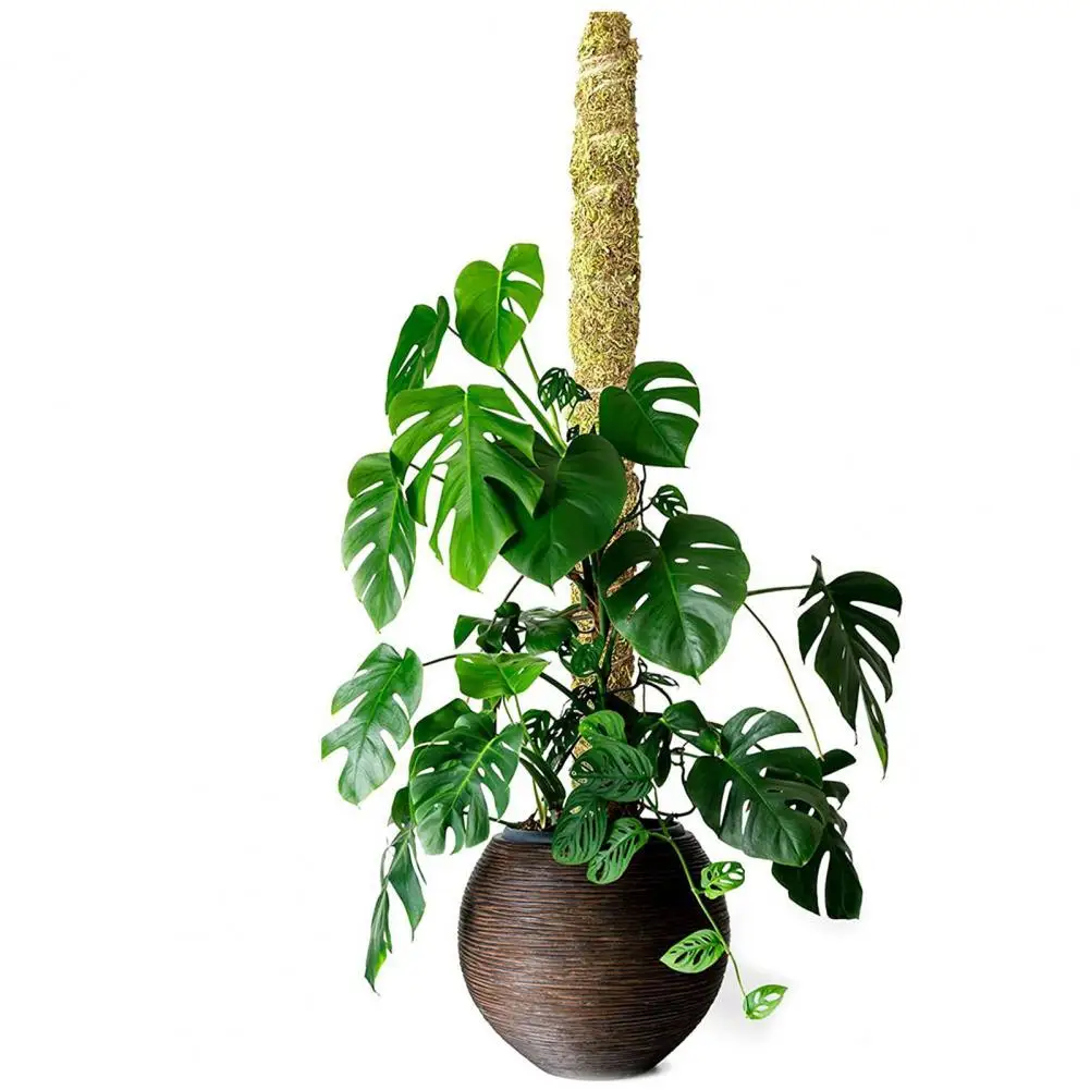 

Кокосовая палочка для скалолазания, безопасная для садоводства, Кокосовая палочка для скалолазания, искусственная и криперы