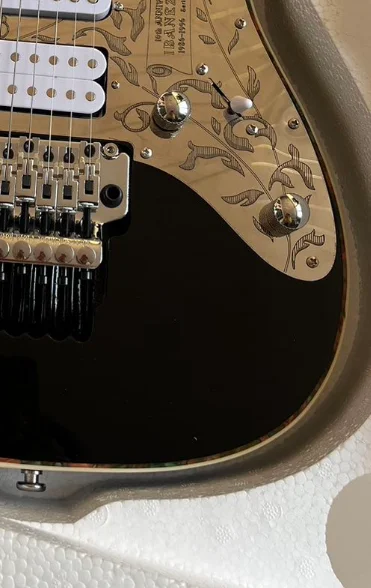 Завод электрогитары предлагает быструю и бесплатную доставку низкие цены