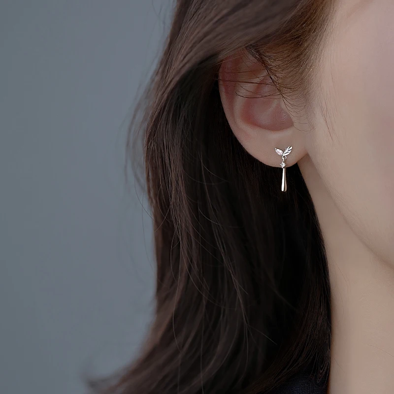 Shiny Zircon Water Drop Dangle Earring Luxury Designer Jewelry 2022 Trendy Women's Earring Cute Christmas Gift New in Earrings