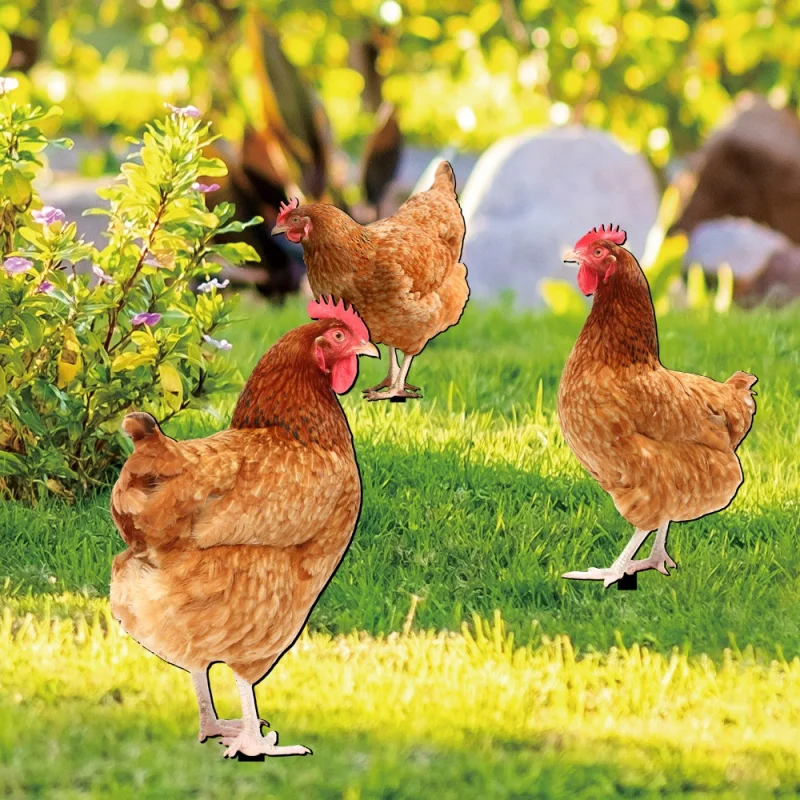 

[Home Decorations] TYU216-222 Simulation Rooster Hen Chicken Courtyard Floor Outlet Garden Lawn Outdoor Decoration Plug-in Decor