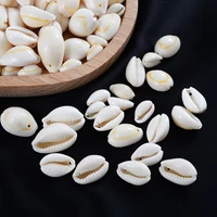 15mm natural shell conch beads charm oval cowry cowrie tribal loose spacer beads for jewelry making bracelet crafts accessories