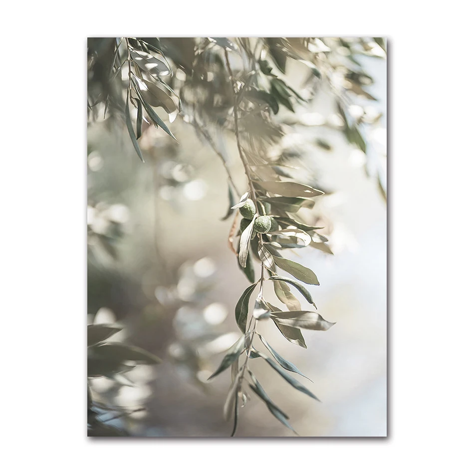 

Холст с изображением ветвей оливы AliPaint