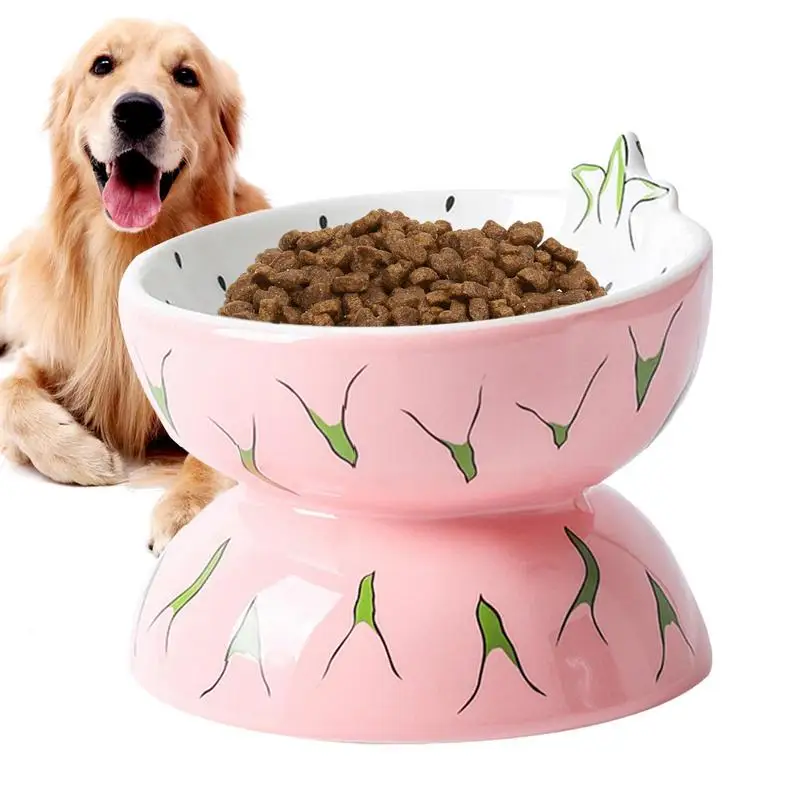 

Миска для кошек, керамическая миска для кошек против рвоты, миска для кормления домашних животных с наклонным дизайном фруктов, миски для воды